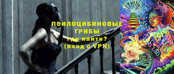 молекула духа Заводоуковск
